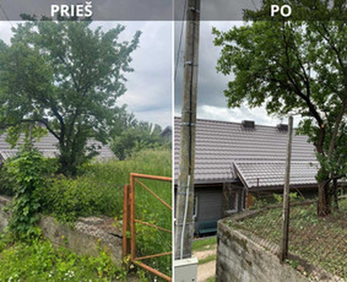 Medžio ir teritorijos tvarkymas prieš ir po